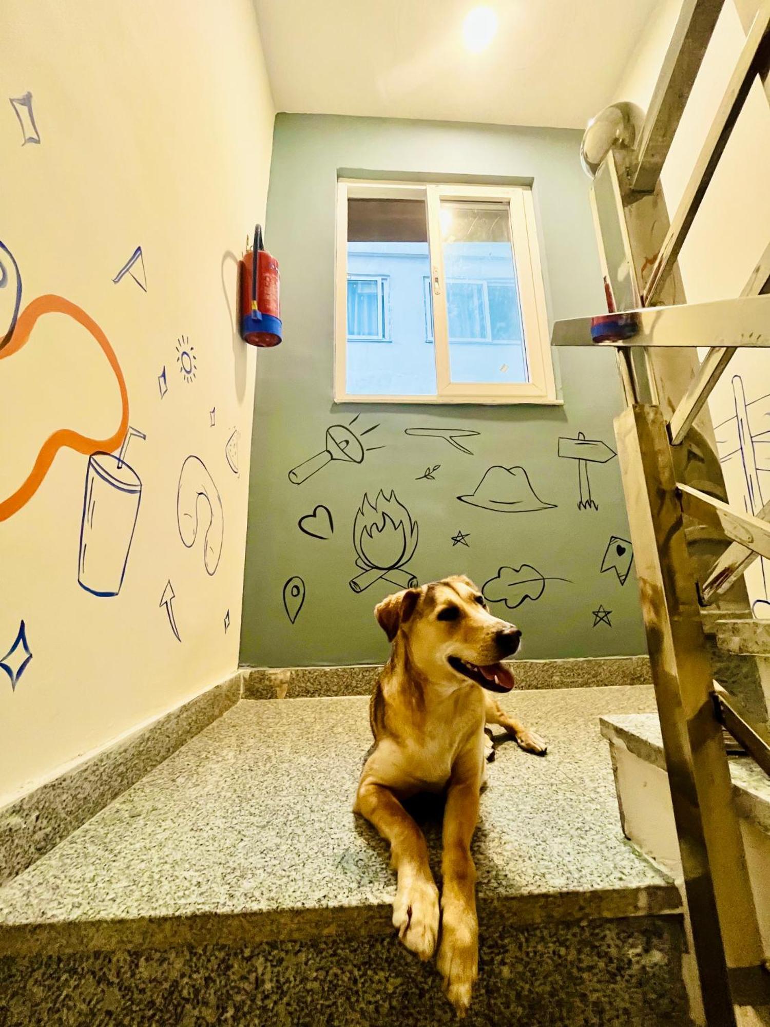 Bonfire Hostels Rishīkesh المظهر الخارجي الصورة